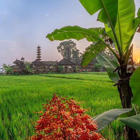 Your Dream Getaway Awaits - Villa In Ubud Offering Unmatched Temple Views! Exterior foto