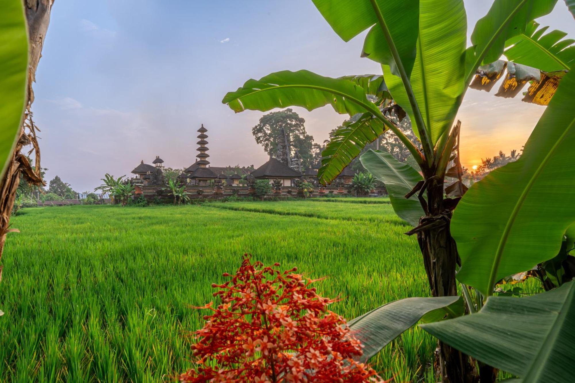 Your Dream Getaway Awaits - Villa In Ubud Offering Unmatched Temple Views! Exterior foto
